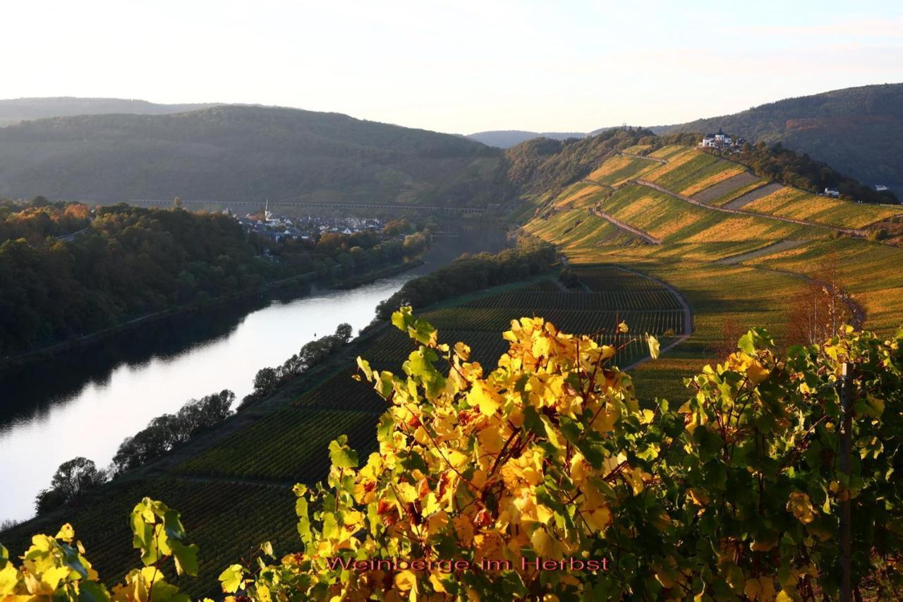 Ferienwohnung Ankerplatz Zell an der Mosel Luaran gambar