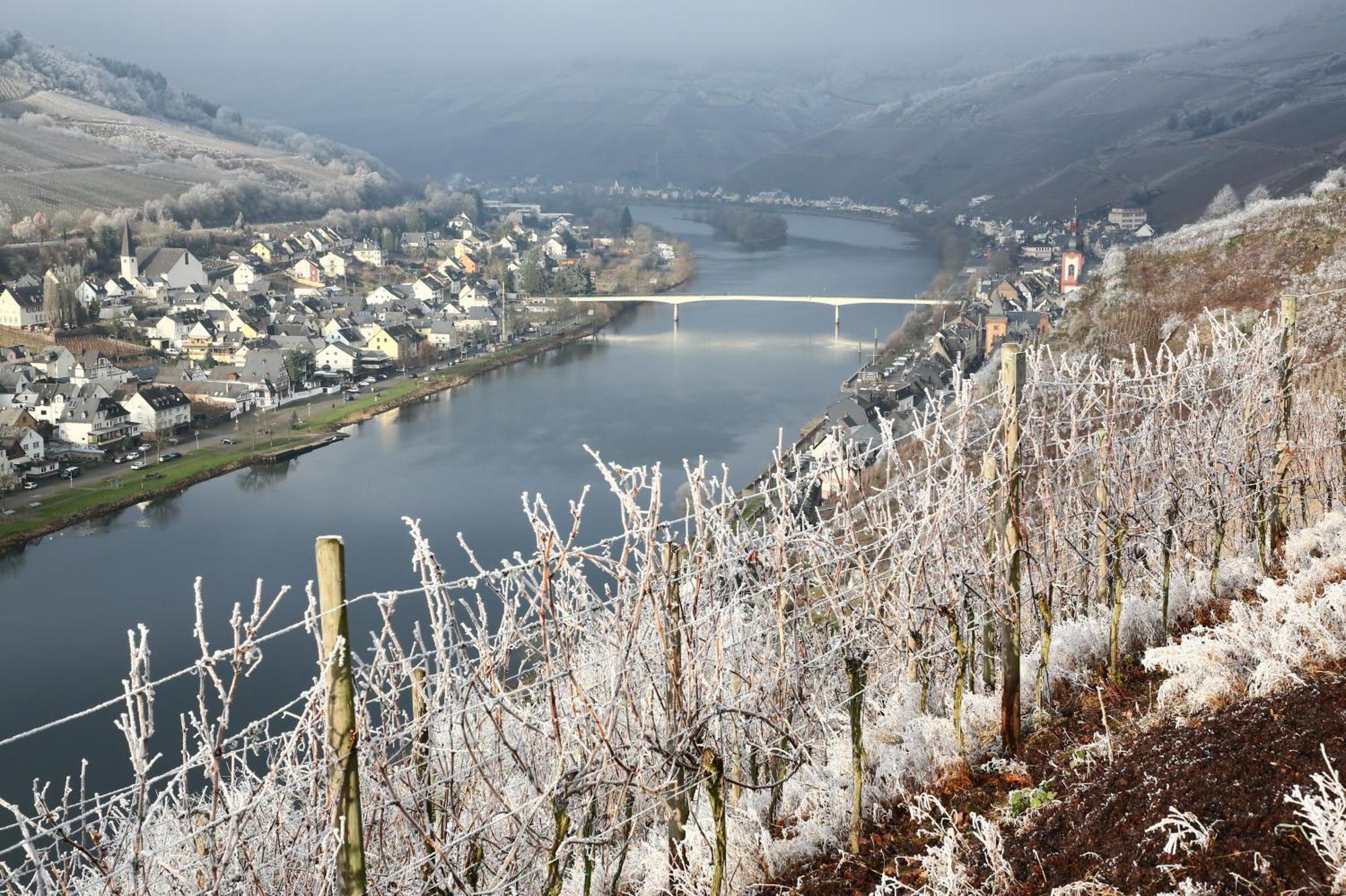Ferienwohnung Ankerplatz Zell an der Mosel Luaran gambar